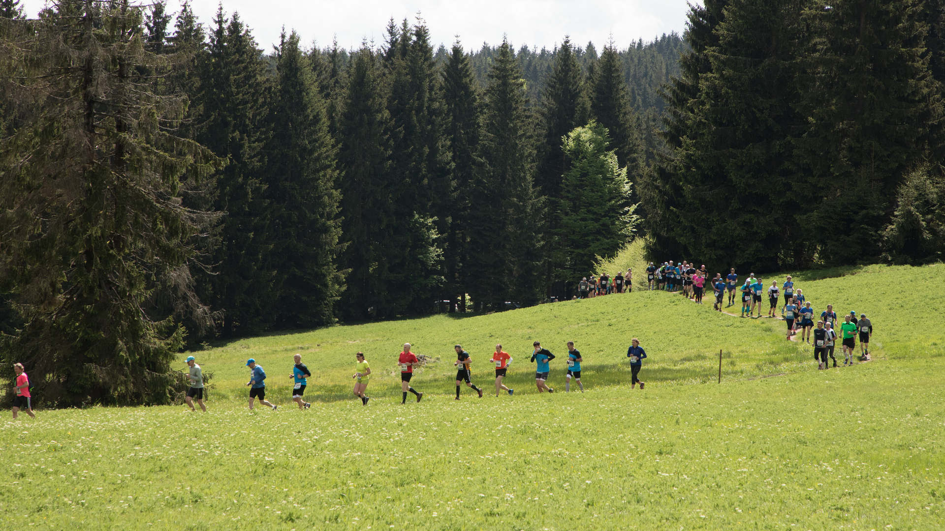Rennsteig Marathon 2017 – Mehr als ein Marathon