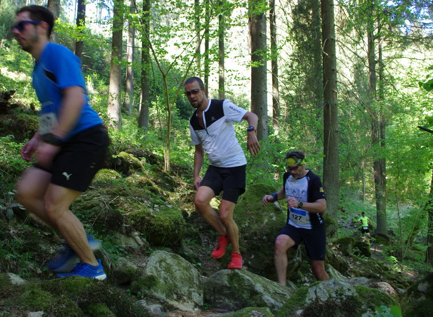 Pfreimdtaltrail_2018_Uferpfad_0165