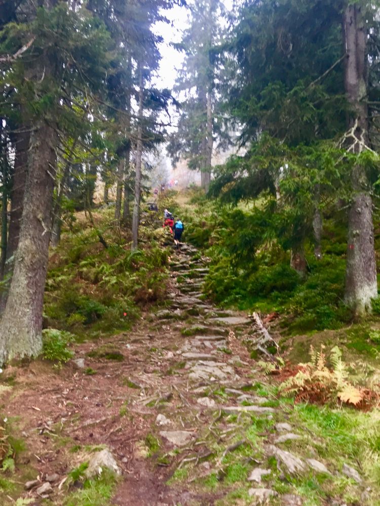 Arberland_Ultratrail_2018_34