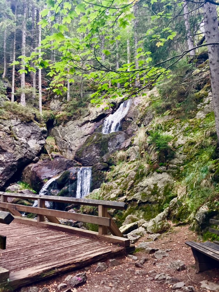Arberland_Ultratrail_2018_39
